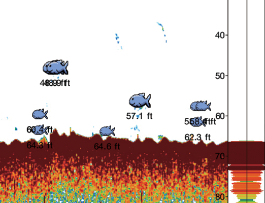 ACCU-FISH-Screen