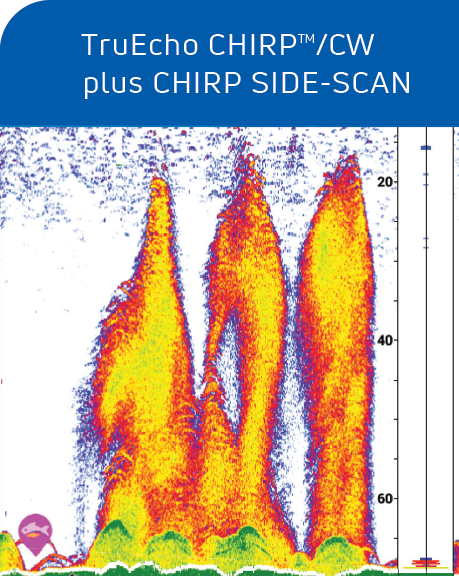 Card-Graphic-CHIRP-Fish-Finder4