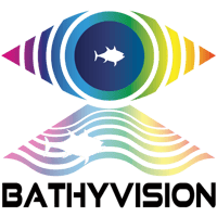Logo-BathyVision-black