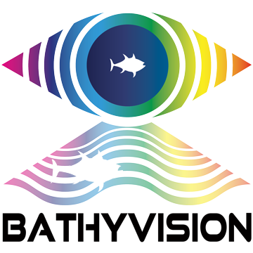 Logo-BathyVision-black